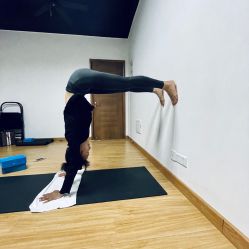 -兴亚瑜伽20年老馆