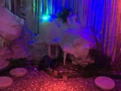 -水晶之星洗浴温泉汗蒸