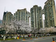 -西北湖绿化广场