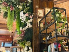 -一棵树·意大利西餐厅One Tree(新城店)
