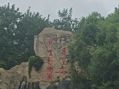 -秦皇岛野生动物园