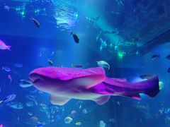 -沈阳海洋探索中心