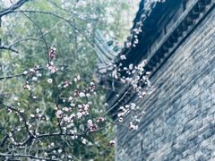 -罔极寺