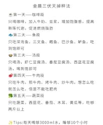 -Fundi张玉珊修身堂·indiba·BTL科技瘦身