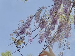 -白马涧龙池景区