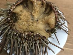 -海胆小馆(东北水饺·春柳店)