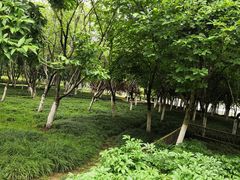 -白塘生态植物园