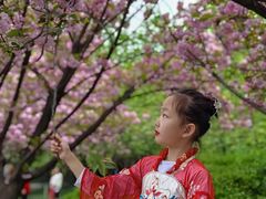 -西安青龙寺遗址景区