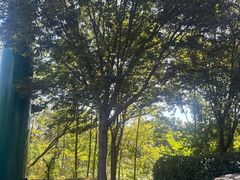 -泗洪洪泽湖湿地景区