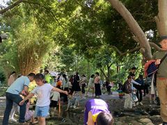 -成都市活水公园