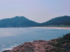 -广东惠东海龟国家级自然保护区
