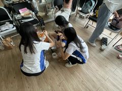 -中广艺影传媒艺术(福田校区)