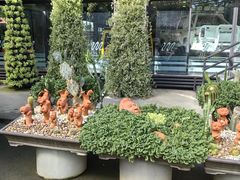 -东芭乐园