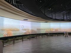 -宁波杭州湾国家湿地公园