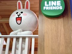 -line friends(明洞旗舰店)