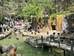 -燕塞湖鸟语林景区