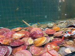 -曼格活海鲜·牛排自助(光明蓝鲸店)