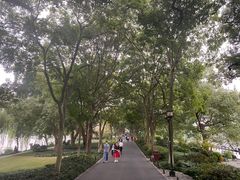 -苏堤停车场