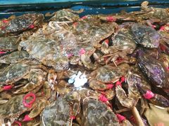 -华阳海鲜市场(府西路店)