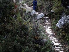 -终南山国家森林公园