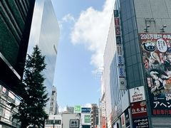 -涩谷全向十字路口