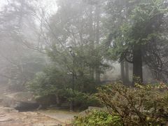 -庐山风景区花径公园