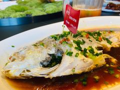 酒香大鲥鱼-丰收日(五角场店)