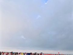 -红树林天天赶海