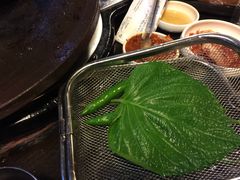 -Dombe豚(黑猪肉街店)