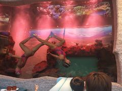 -瑞德姆美人鱼海底演艺主题餐厅(亚龙湾店)