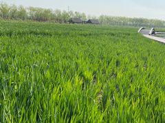 -永定河休闲森林公园