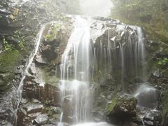 -藏龙百瀑风景区