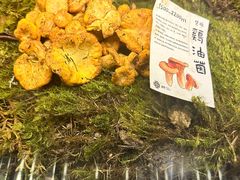 -滇野云南野生菌餐厅(陕西南路店)