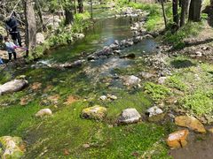 -玉渡山自然风景区