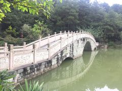 -铁山坪森林公园