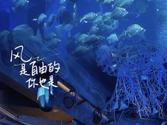 -正佳极地海洋世界