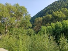 -雁门关景区