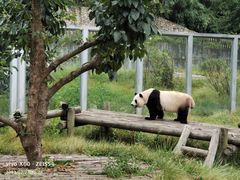 -西安秦岭野生动物园