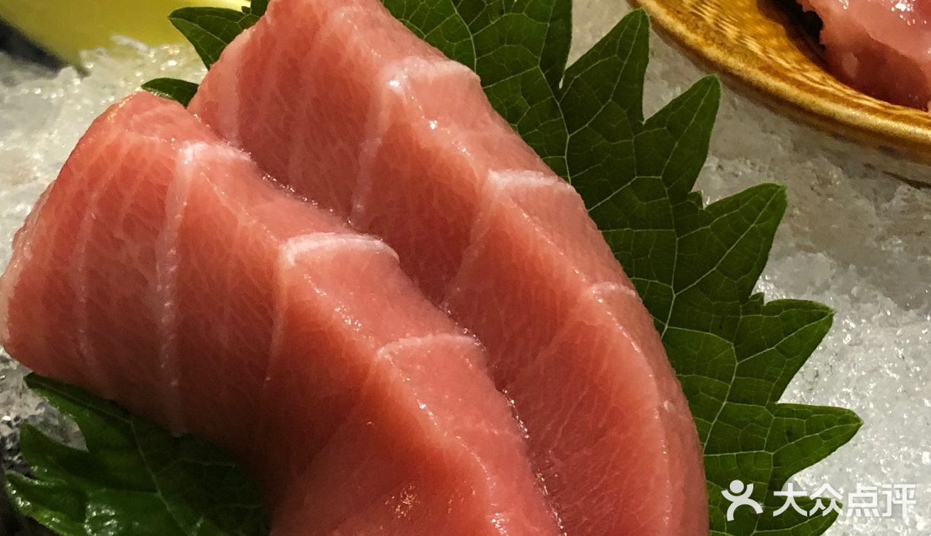 北京最好吃的金枪鱼全鱼宴❗️🔥😘一次吃遍九个部位哟[OK][OK]