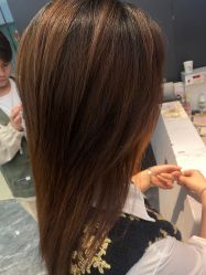 -藤野造型