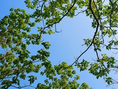 -永定河休闲森林公园