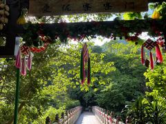 -西双版纳原始森林公园