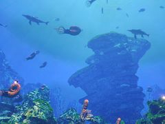 -海合安成都极地海洋公园