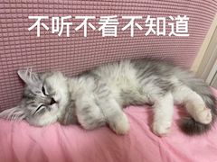 -爱侣·安琦尔宠物医院·中兽医针灸·心内科·狂犬免疫点(宝山区院)