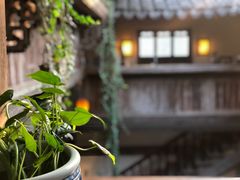 -普洱茶府(博乐广场店)