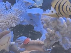 -新海渔港·胶东海鲜家常菜·家宴(奥体中心店)
