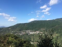 -四明山国家森林公园