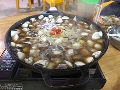 -顺德哥卜卜贝(旗舰店)