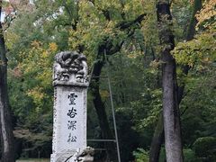 -灵谷景区
