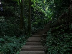 -青城山